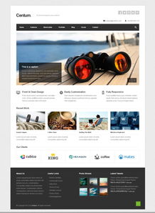 网页设计与网站设计 数字时代的视觉与功能交响曲